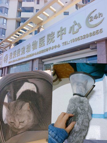 家里毛孩子的御用宠物医院，一个字，靠谱！ 