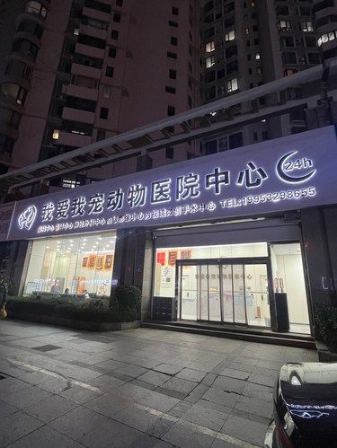 能讲吗❓❗️关于这家宠物医院
