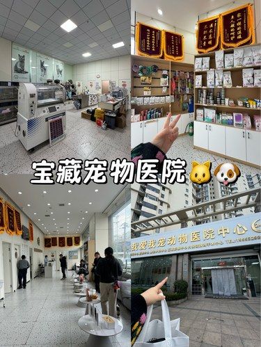 青岛！一家靠谱的宠物真的会安心很多！