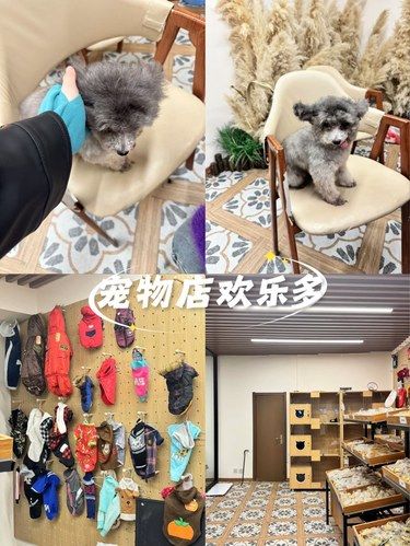 铲屎官速进！这家宝藏宠物店开业啦[礼花]
