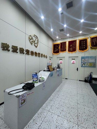 号外！号外！青岛所有养宠人请看这篇❗️