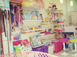 青岛宠物店购买攻略？青岛市最受欢迎的宠物店排行榜