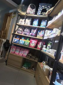 青岛宠物店购买攻略？青岛市最受欢迎的宠物店排行榜