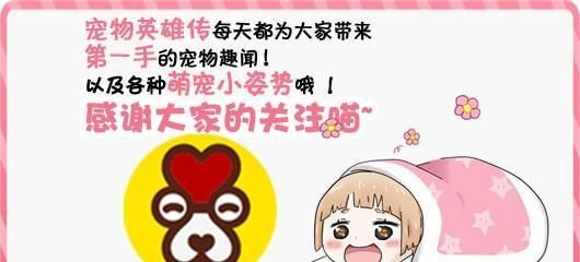 狗狗发现哥哥被宠主抓了，立马跑过来哥哥别怕，我来救你