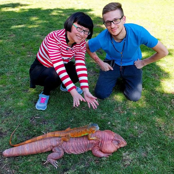 如果厌倦了狗狗和猫咪的照片，可以来看看这只巨蜥（15张）