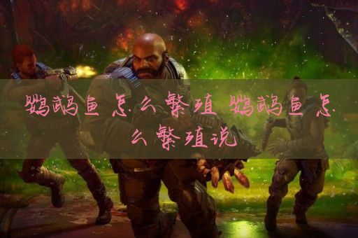 鹦鹉鱼怎么繁殖 鹦鹉鱼怎么繁殖说