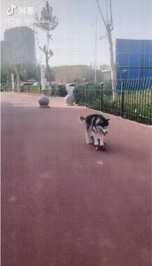 图片10.png