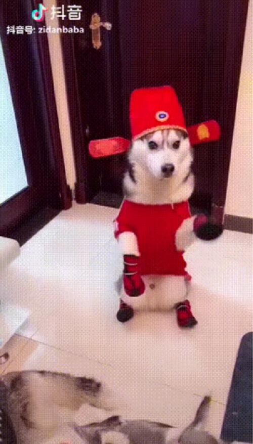 图片9.png