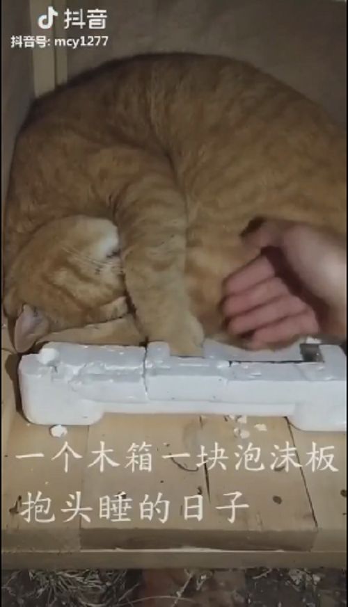 图片11.png