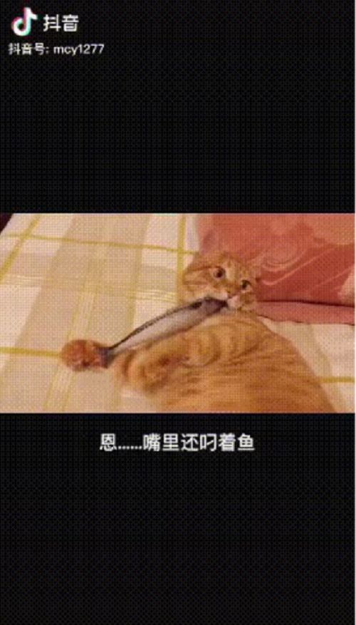 图片12.png