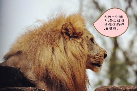迷人萌宠--海南热带野生动植物园