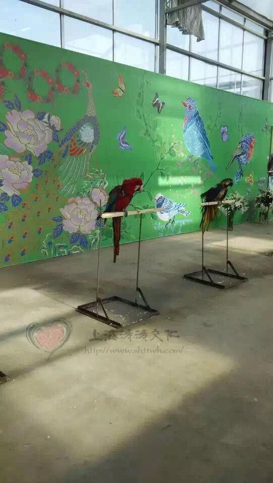 神农架百鸟展预定优惠