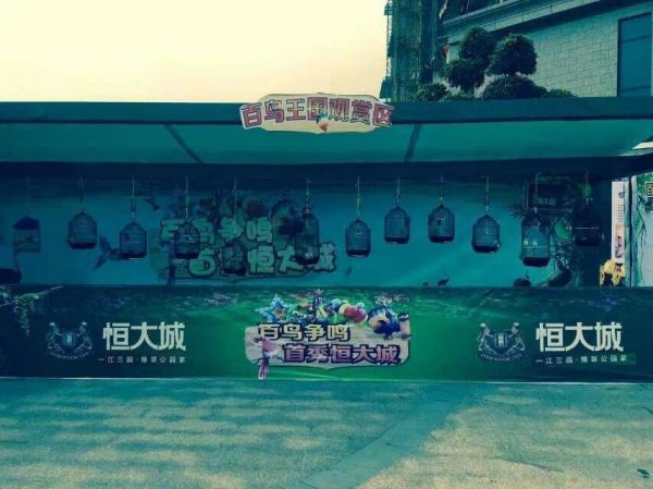 福州百鸟展资源租赁