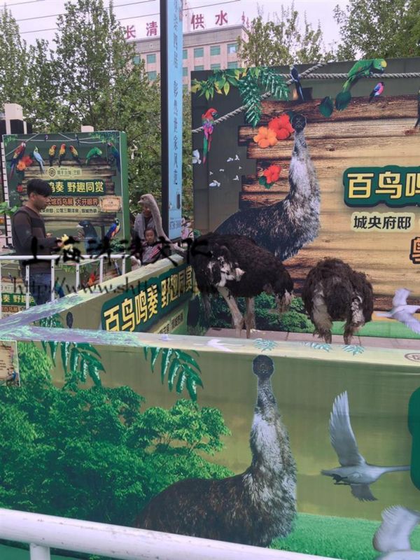 福州百鸟展资源租赁