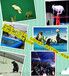 那有出租百鸟展的，鹦鹉表演出租。