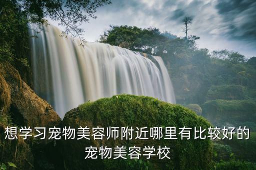 想学习宠物美容师附近哪里有比较好的宠物美容学校