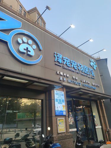 可以领养猫咪的宠物医院