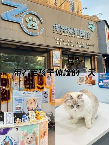 带毛孩子来体检啦[比心]