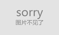 宠物小精灵