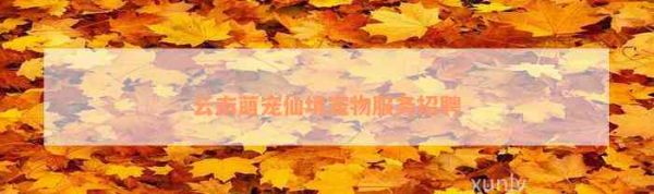 云南萌宠仙境宠物服务招聘