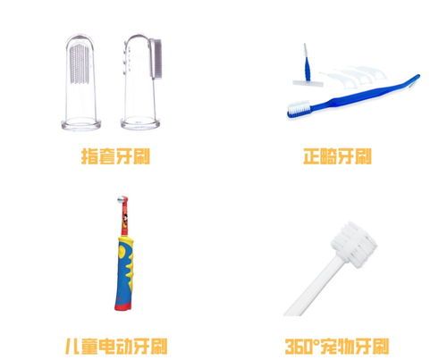 宠物刷牙：用宠物牙膏和牙刷，或指套刷。