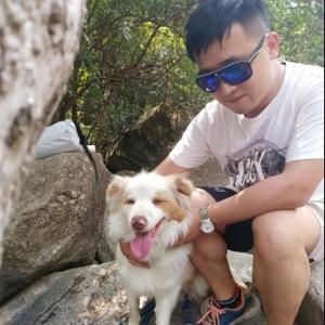 麦兜的铲屎官头像
