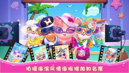 《宠物达人养成记：天才宠物养成攻略》