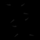 069433.png