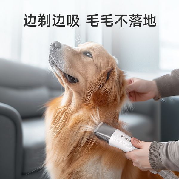 一嗨生活集市的宠物周边及其他