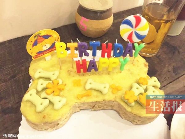 职业“新秀”:给宠物做蛋糕 她接单接到手软(图)