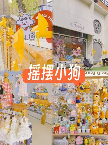 活力满满的小天地✨