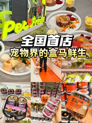 上海首店｜宠物界的盒马鲜生，带上毛孩子逛起来