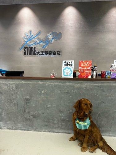 大王宠物百货-四川北路新店开业