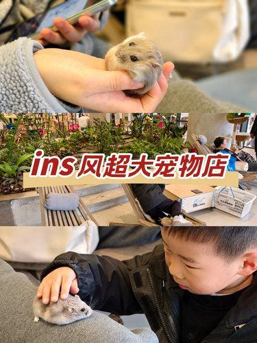四川北路惊现400㎡毛孩天堂！