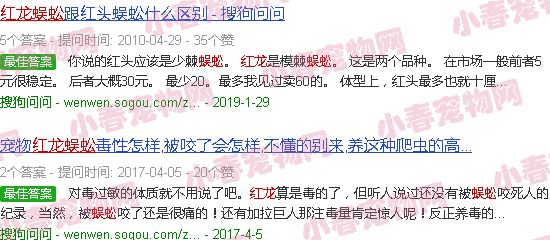 泰国红龙蜈蚣
