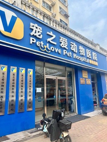 24小时营业的宠物医院