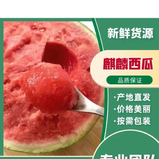 云南麒麟西瓜 产地直发 可远程看货 品质保障 诚信经营