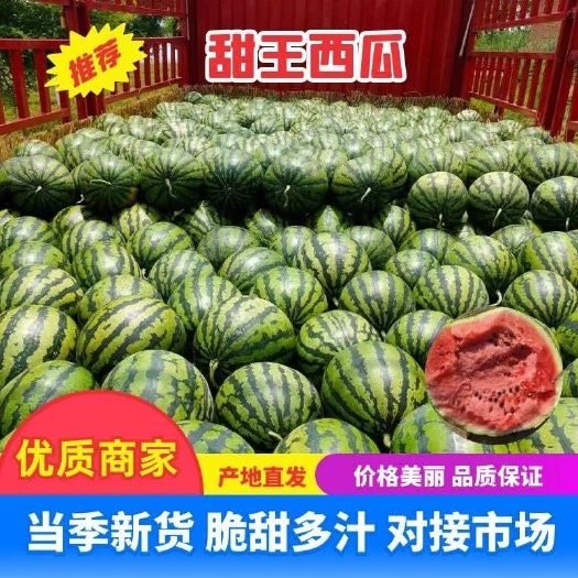 【实力】云南甜王西瓜,大吨位供应,货优!支持视频看货!