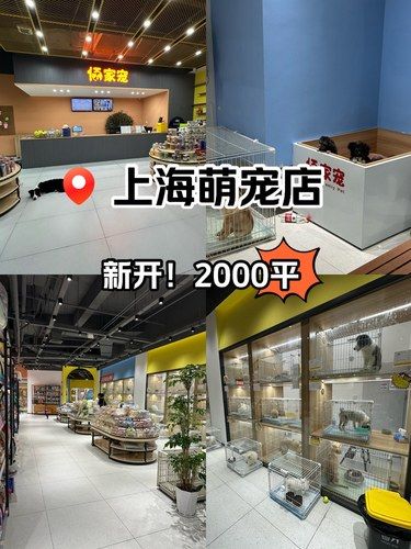 上海爱宠人的天堂｜2000平500只小可爱！