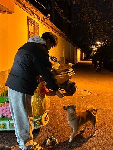 夜晚，你家的宠物在干嘛？