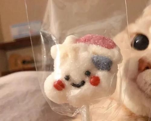 用猫咪头像的人，究竟想表达什么（从宠物到个人形象）