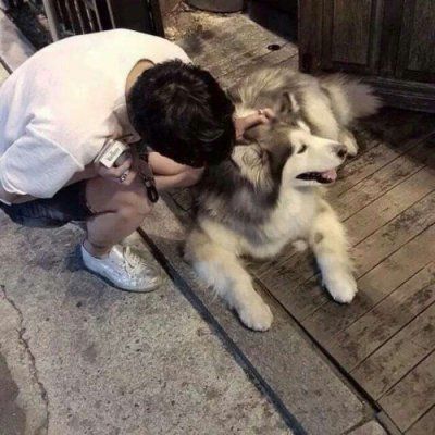 男生微信头像带宠物 怀里抱着狗或猫的有爱心男生头像图片
