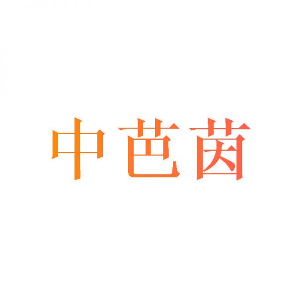 中芭茵