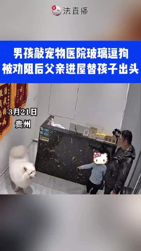 孩子敲玻璃逗狗被制止，父亲进屋替孩子出头