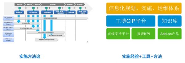 宠物用品企业春藤实业SAP ERP出海|中资企业管理系统海外实施
