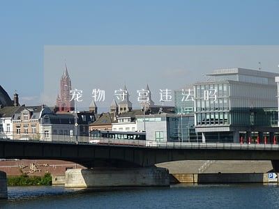 宠物守宫违法吗
