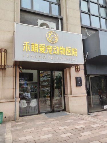 [强]超负责任的宠物医院