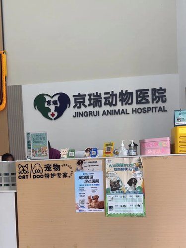 家门口的宠物医院，很方便