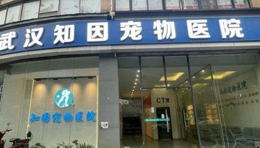 宠物的健康守护者