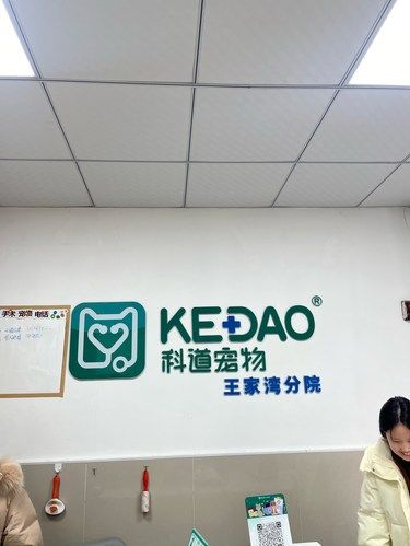 宠物驱虫的一天